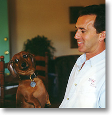 Dachshund - Mmmmm, is that a cookie I see?