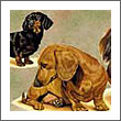 Great Dachshund Collectibles