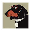 Dachshund Art