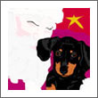 Dachshund Art